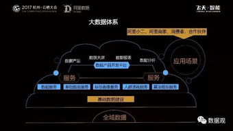 阿里數(shù)據(jù)服務產(chǎn)品開發(fā)與大數(shù)據(jù)體系實踐 數(shù)據(jù)處理服務的核心洞察